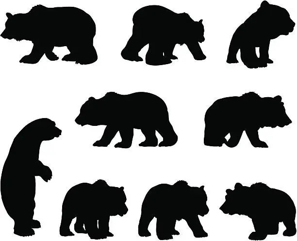 Vector illustration of Brown grizzly bear silhouette set