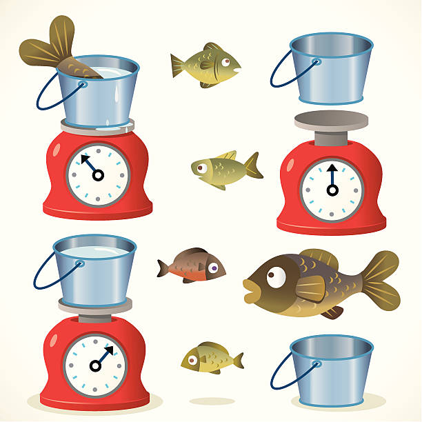 Weighing Fish Stock Illustration - Download Image Now - Animal Scale,  Bucket, Business - iStock