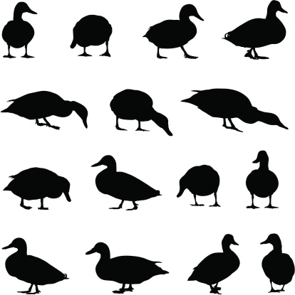 Great collection of duck silhouettes.
