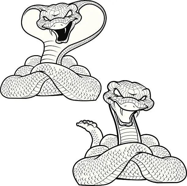 Vector illustration of Two Snakes