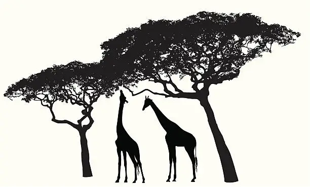 Vector illustration of Giraffe Habitat Vector Silhouette