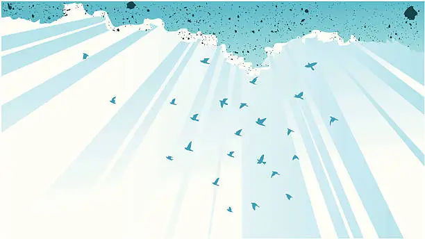 Vector illustration of sky with birds
