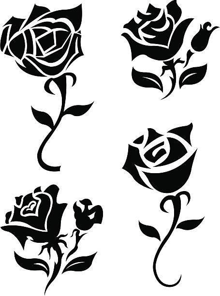 Rose Flowers - Tattoo Design Rose. Graphic vector tattoo design illustrations of a various Roses Flowers. Compound paths. Use as positive image or reverse out of layout. Ghost art back as design element or color it. Check out my "Flowers & Hearts Vector" light box for more. black and white rose stock illustrations