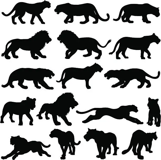 Vector illustration of Big cat silhouette collection