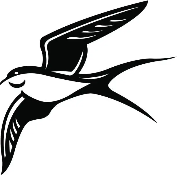 Vector illustration of Sparrow - Flying Bird