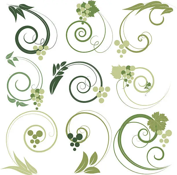 Vector illustration of Grape decorative ornaments