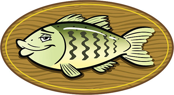 illustrazioni stock, clip art, cartoni animati e icone di tendenza di montato pesce branzino - fish cartoon bass mounted