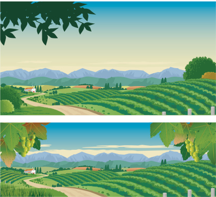 Country scene of vineyards, grapes, rolling hills and house, with a background of mountains. 2 versions with interchangeable and scalable elements on separate layers.