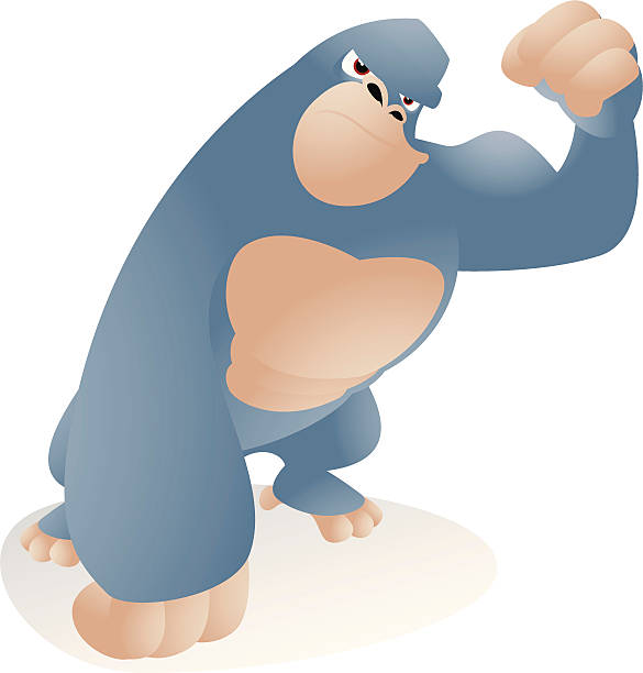 Gorilla flexing his muscles Fully editable vector illustration of a cartoon Gorilla flexing his muscles. huge silverback gorilla stock illustrations