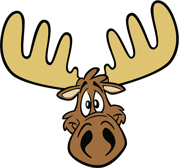 ilustraciones, imágenes clip art, dibujos animados e iconos de stock de historieta cabeza de alce - moose head