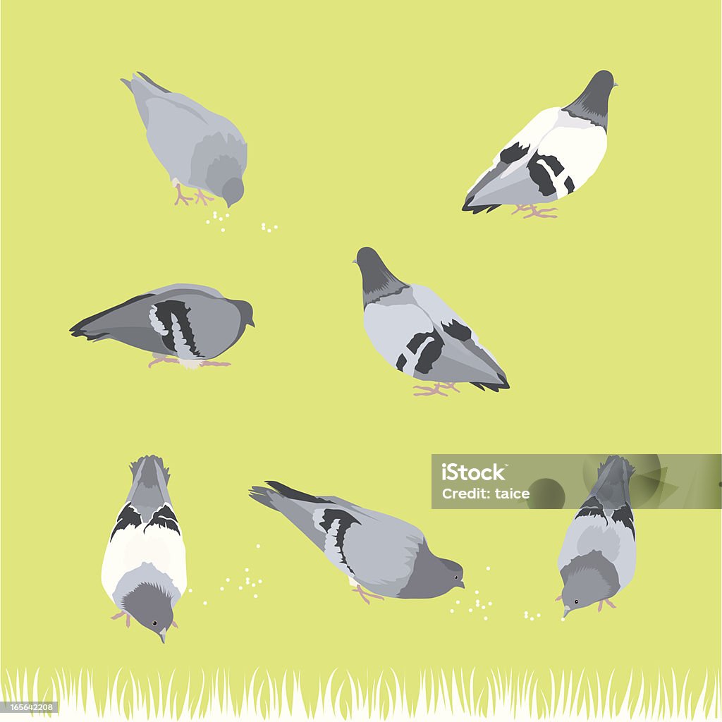 Gołąb ptak -Design elementy - Grafika wektorowa royalty-free (Dowcip rysunkowy)