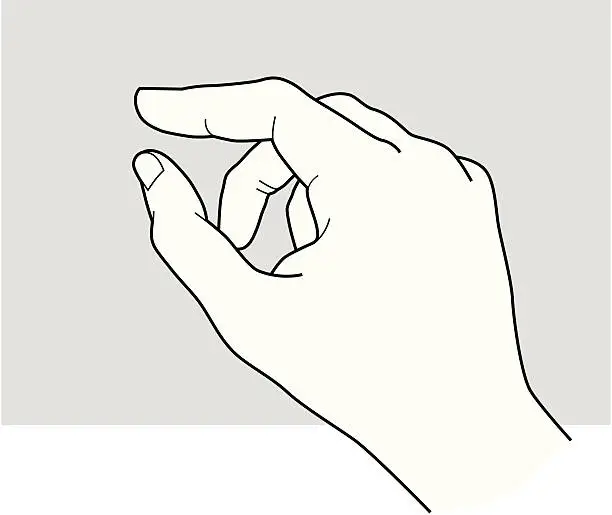 Vector illustration of Hand_Holding_4