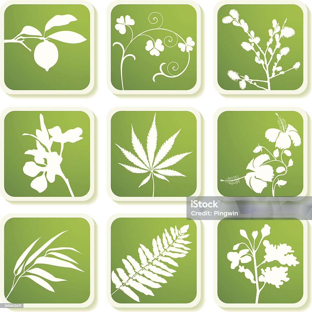 Más populares de plantas y hojas. - arte vectorial de Sauce Cabruno libre de derechos