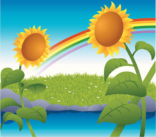 Two sunflower Two sunflower beside the river. sunflowers and river stock illustrations