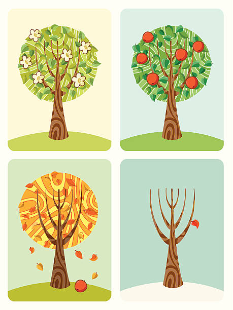 4 Apple Tree 160+ Four Apple Trees Stock Photos, Pictures & Royalty-Free Images - iStock