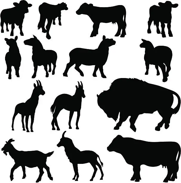 Vector illustration of Dairy animal silhouette collection