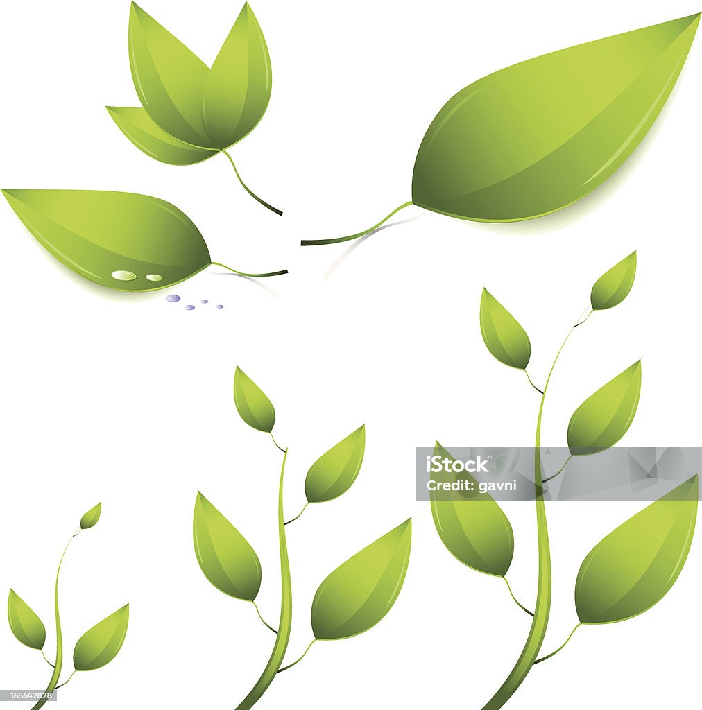 leaf - Grafika wektorowa royalty-free (Bez ludzi)
