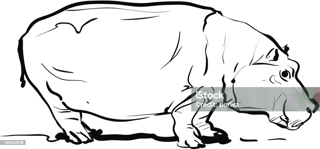 Hippopotamus This is a drawing on a Hippopotamus. Animal stock vector