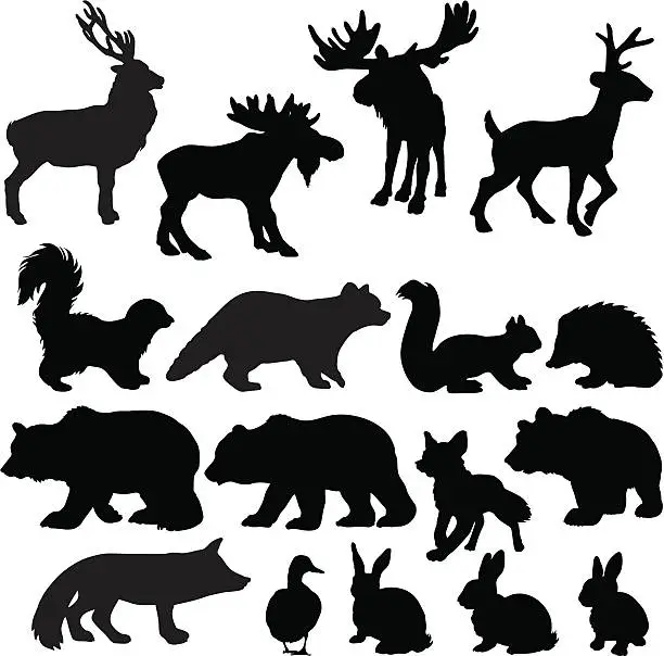 Vector illustration of Silhouettes of woodland animals
