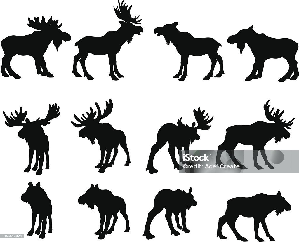 Moose Silhouettes (bull and cow) Different types of moose in silhouette. Moose stock vector