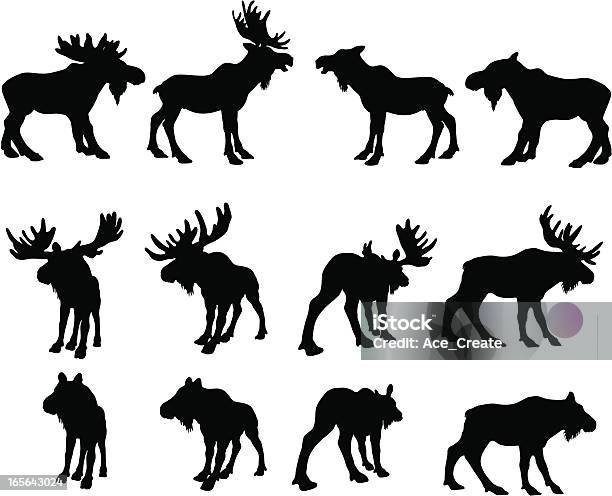 Moose Silhouettes Stock Illustration - Download Image Now - Moose, In Silhouette, Vector