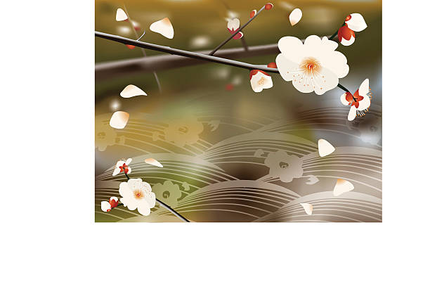 illustrazioni stock, clip art, cartoni animati e icone di tendenza di fiore di giapponese - blossom growth single flower cherry blossom