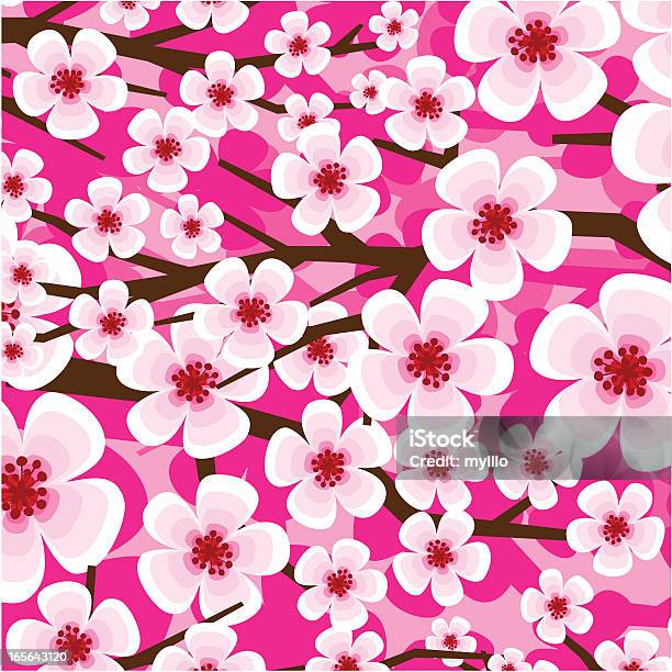 Вишни Blossom — стоковая векторная графика и другие изображения на тему Цветок вишни - Цветок вишни, Фоновые изображения, Азиатская культура