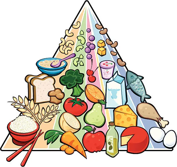 Vector illustration of USDA Food Pyramid - outlined version