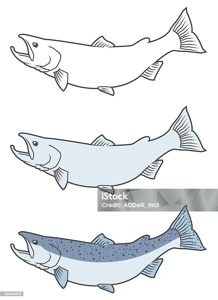 Salmón del Pacífico - arte vectorial de Industria de la pesca libre de derechos