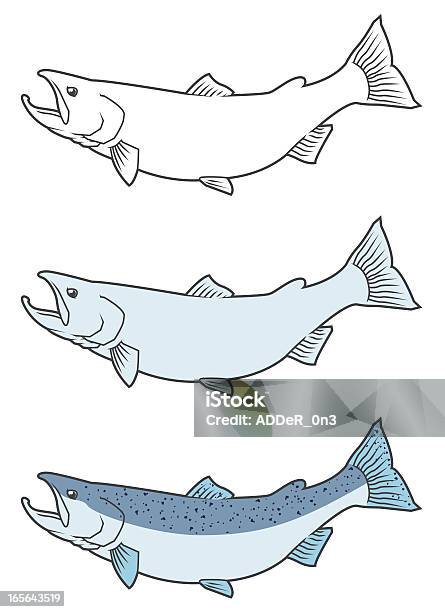 Ilustración de Salmón Del Pacífico y más Vectores Libres de Derechos de Industria de la pesca - Industria de la pesca, Trucha arco iris, Trucha de lago