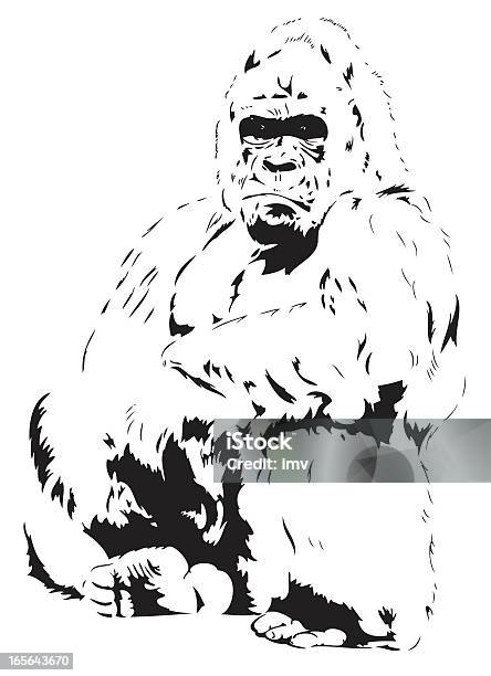 Ilustración de Gorila Medio y más Vectores Libres de Derechos de Gorila - Gorila, Ilustración, Mono - Primate
