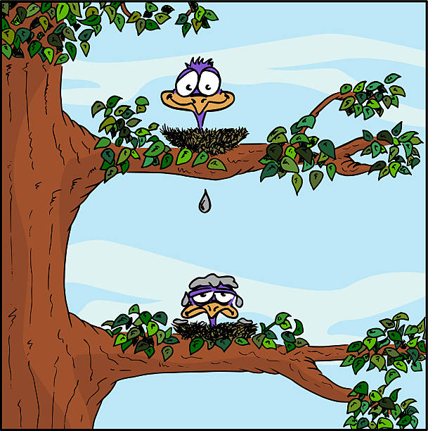 Cartoon Of Bird Droppings Illustrations, Royalty-Free Vector Graphics & Clip Art - iStock Cartoon Of Bird Droppings Illustrations, Royalty-Free Vector Graphics & Clip Art - iStock