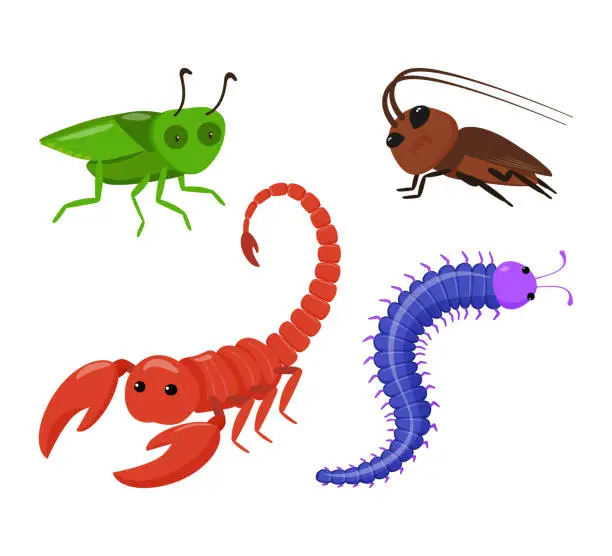 Vector illustration of Insects and crustaceans characters vector illustrations set