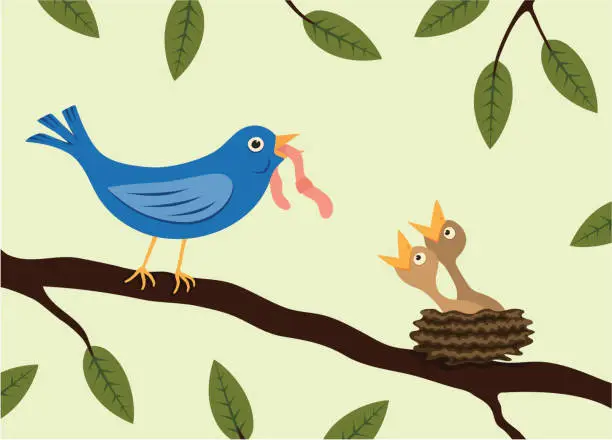 Vector illustration of Bird feeding hungry chicks