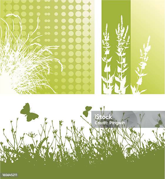 Set Of Wild Plants Stock Illustration - Download Image Now - Agricultural Field, Backgrounds, Beauty In Nature