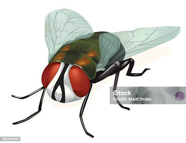 フライ - 昆虫のベクターアート素材や画像を多数ご用意 - 昆虫, ハエ, 飛ぶ