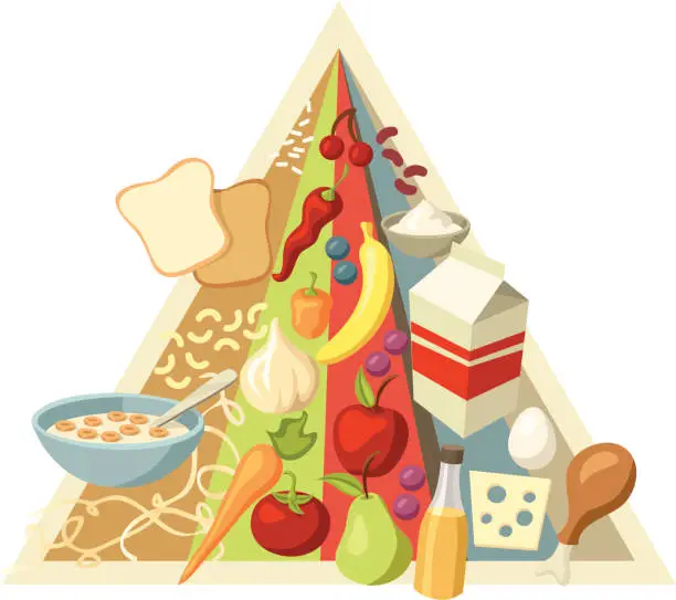 Vector illustration of Food Pyramid: New Vertical Groups Style