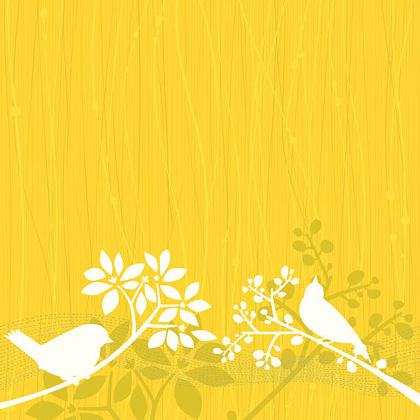 Birds Yellow Background Yellow background with white silhouettes of two birds perching in tree branches and olive green details. bird borders stock illustrations