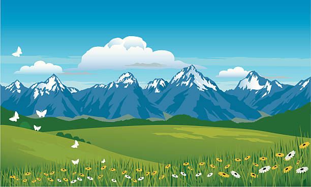 Mountain Panorama Snow capped mountains,meadow and flowers with a background of blue sky and clouds. Art on easily edited grouped layers. spring flower mountain landscape stock illustrations