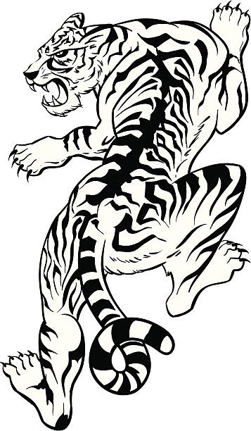 tiger black and white illustration of a tiger tattoo patterns stock illustrations