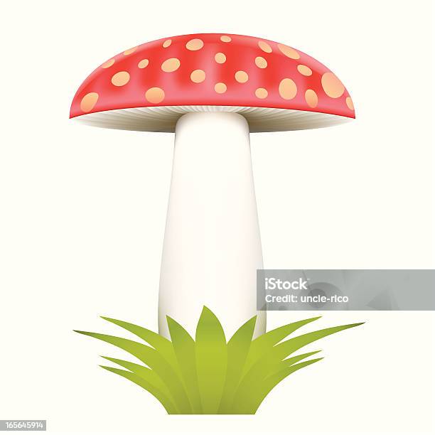 Amanita 머시룸 0명에 대한 스톡 벡터 아트 및 기타 이미지 - 0명, 계절, 꽃무늬