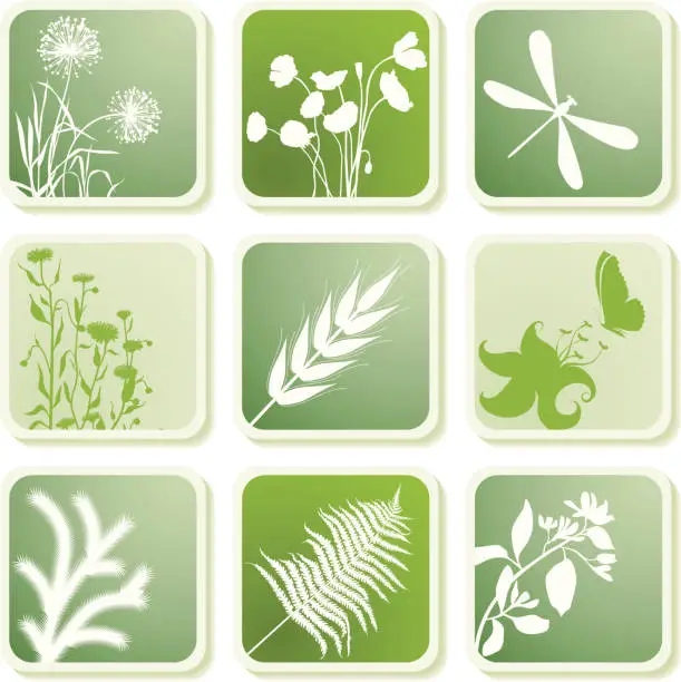 Vector illustration of Plants elements