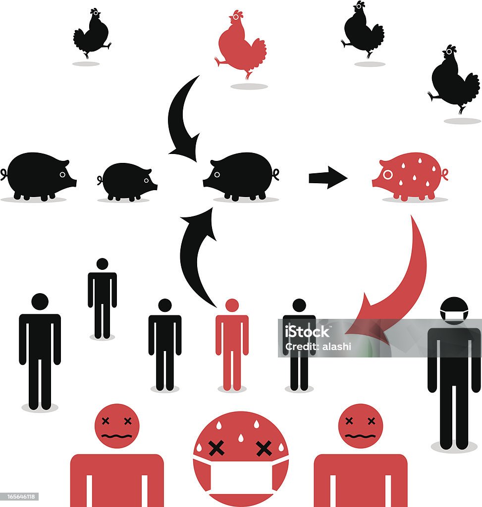 H1N1 de la gripe porcina - arte vectorial de Enfermedad zoonótica libre de derechos