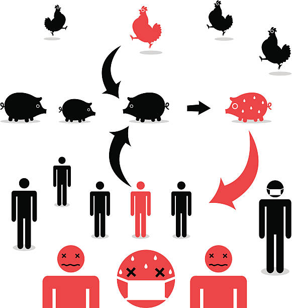 h1n1-돼지 독감 - flu virus russian influenza swine flu virus stock illustrations