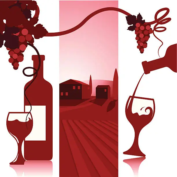 Vector illustration of Wine and Vinyard