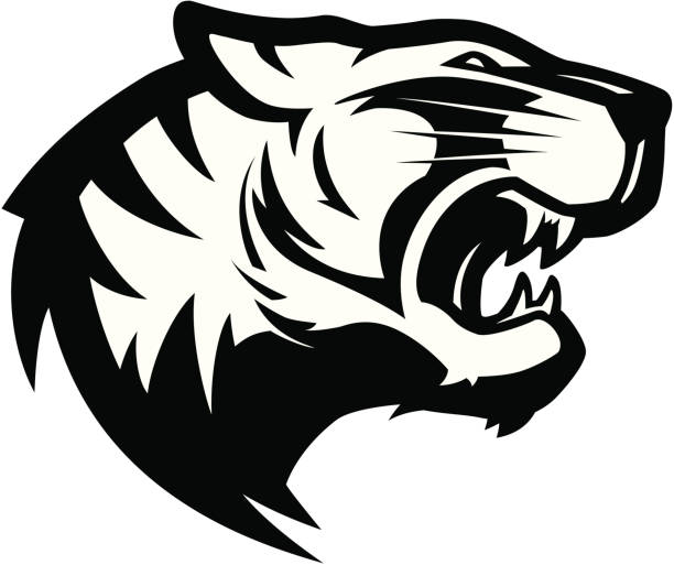 Tiger Logo Vector Art Graphics Freevector Com