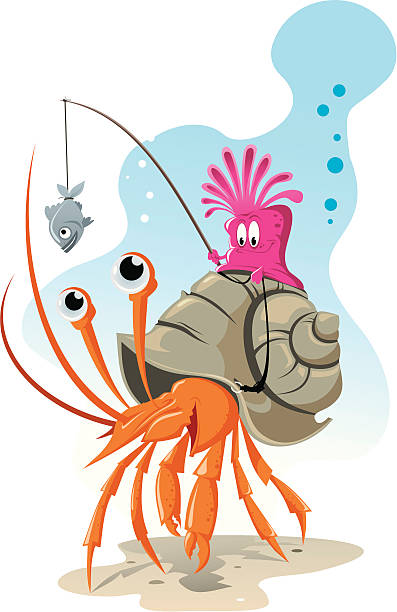 Crab Vector Illustration "Crab" hermit crab stock illustrations