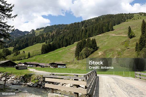 Aschau Valle Delle Alpi - Fotografie stock e altre immagini di Alpi - Alpi, Ambientazione esterna, Austria