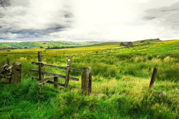 The Black Brook nature reserve, near Three Shires, in Staffordshire holds awesome views, walks and opportunities to view wildlife.