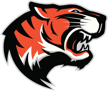 Logo style tiger head mascot, colored version. Great for sports logos & team mascots.